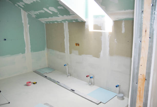 Best Post-Construction Mold Inspection  in Vermilion, OH