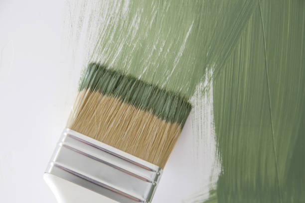 Best Mold Damage Restoration  in Vermilion, OH